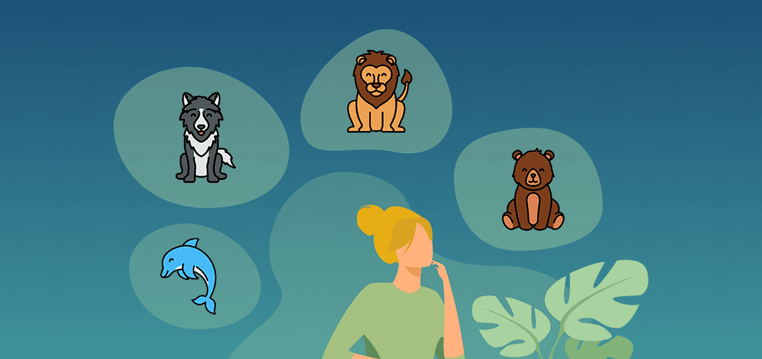 Find Your Chronotype