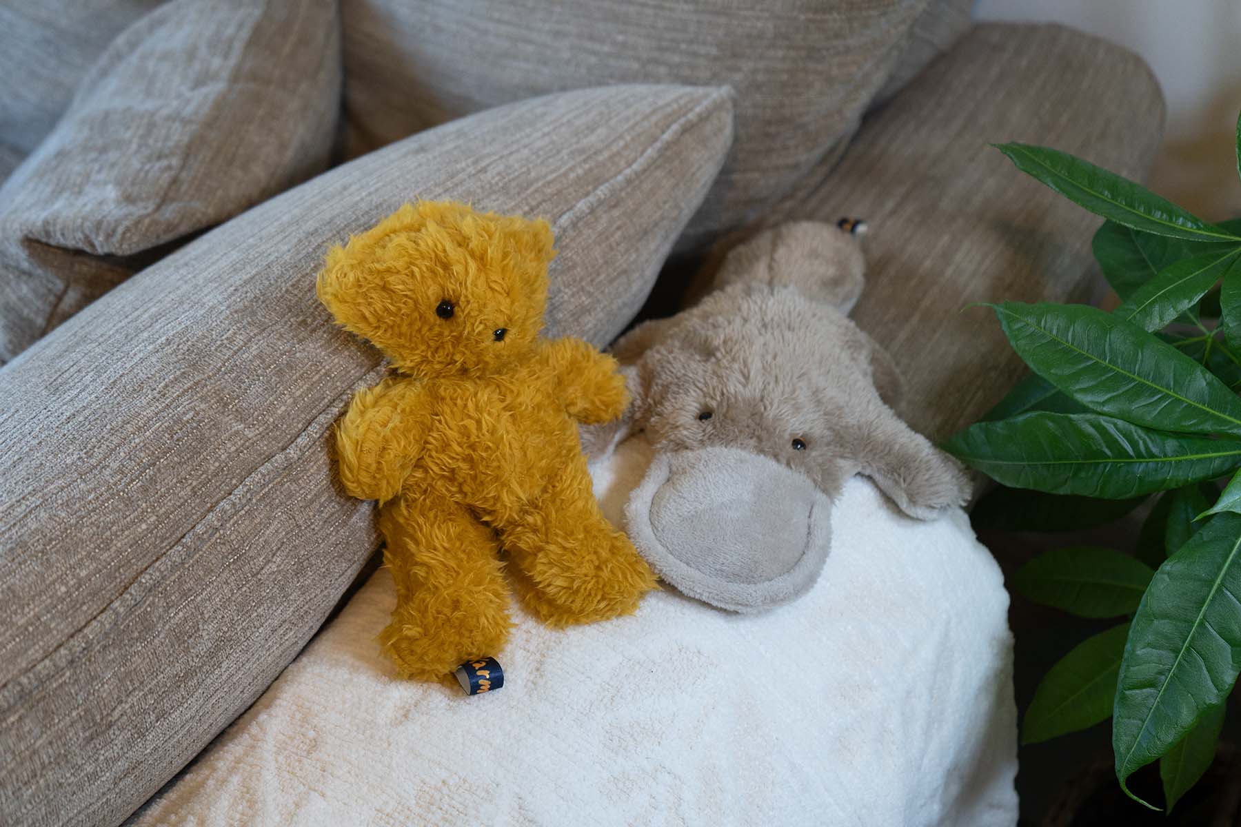 Karmara Weighted Pets